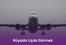 Rüyada Uçak Görmek